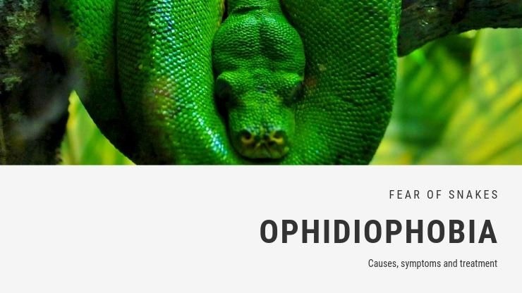 Ophidiophobia