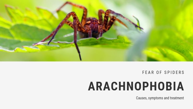 Arachnophobia
