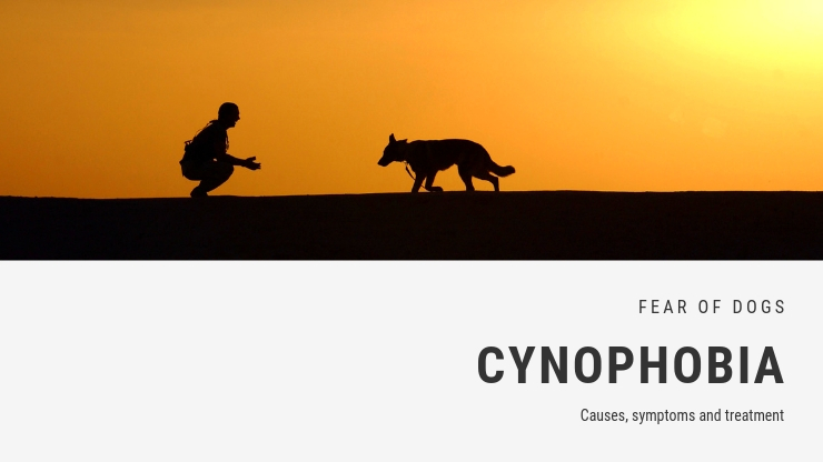 Cynophobia