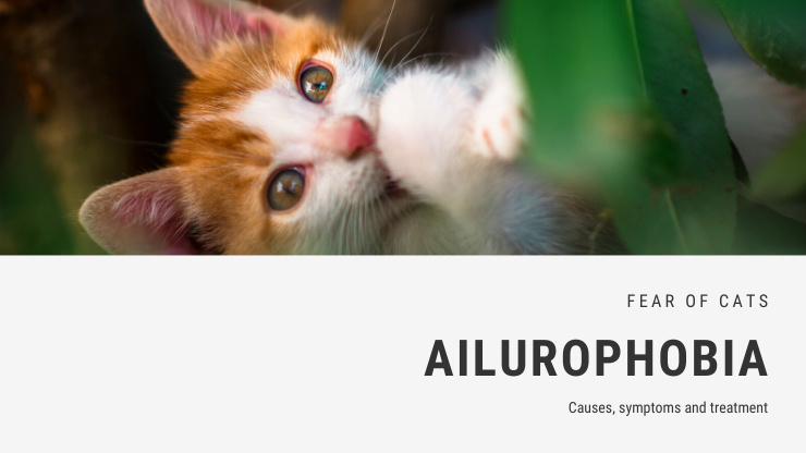 Ailurophobia