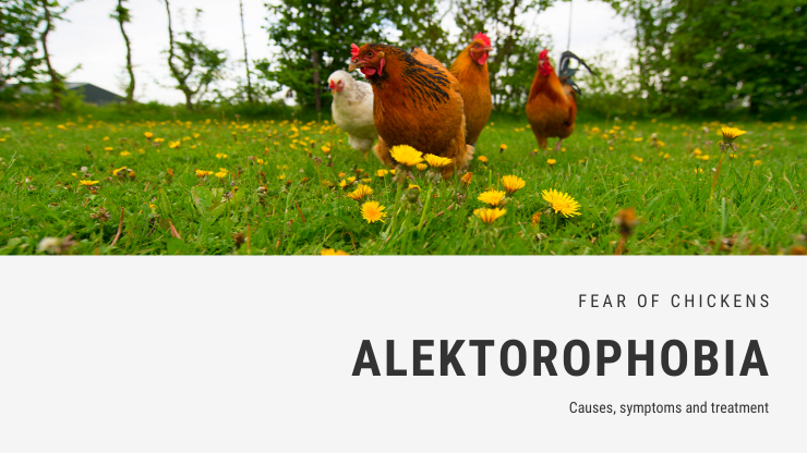 Alektorophobia