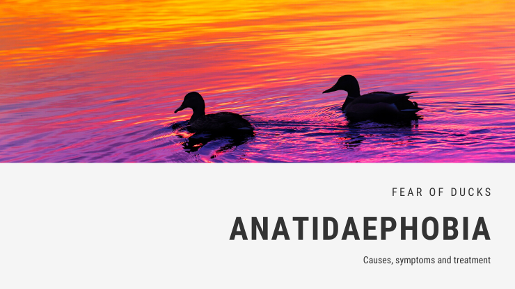 Anatidaephobia