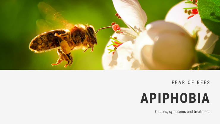 Apiphobia