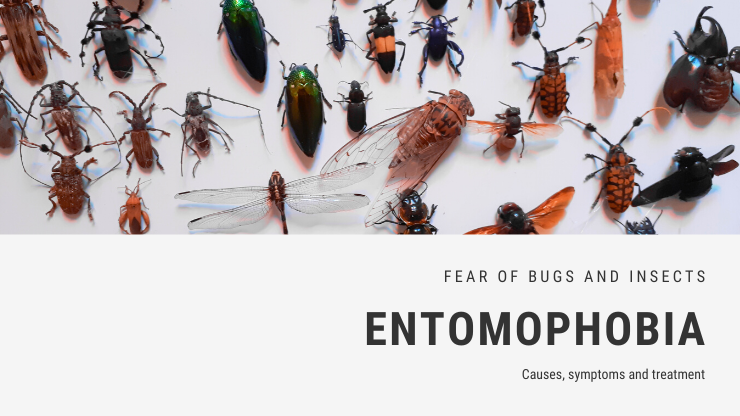Entomophobia