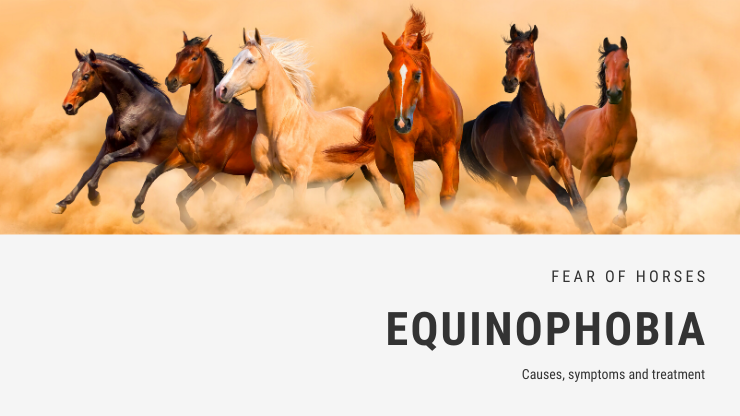 Equinophobia