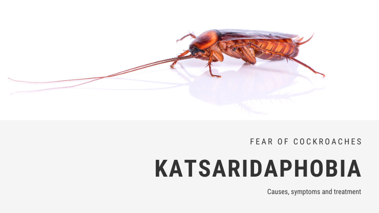 Katsaridaphobia