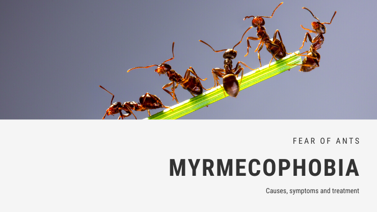Myrmecophobia