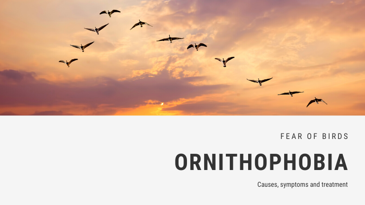 Ornithophobia