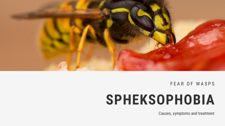 Spheksophobia
