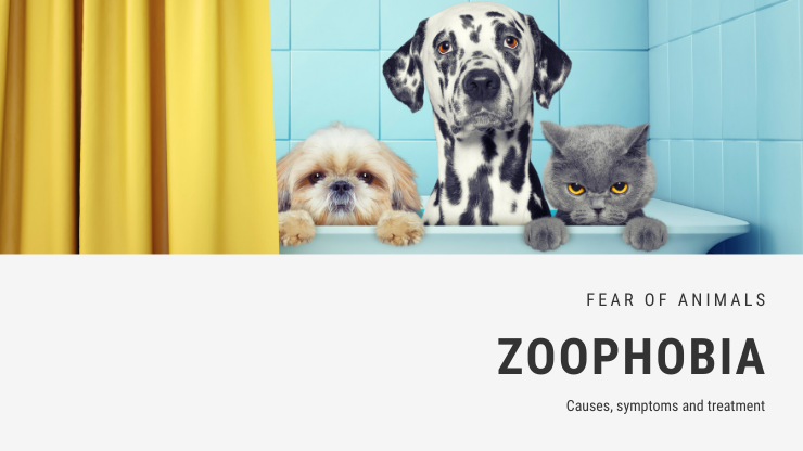Zoophobia