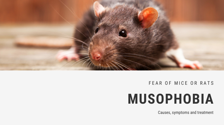 Musophobia